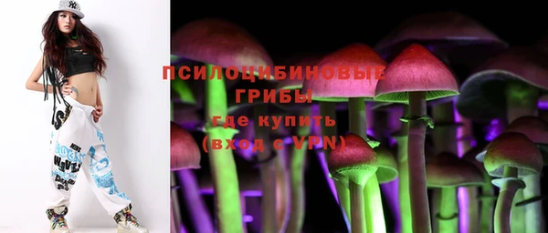 герыч Верхний Тагил