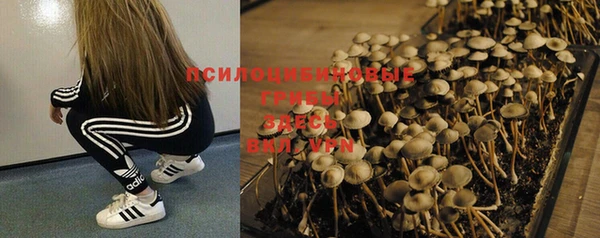 альфа пвп Верхнеуральск