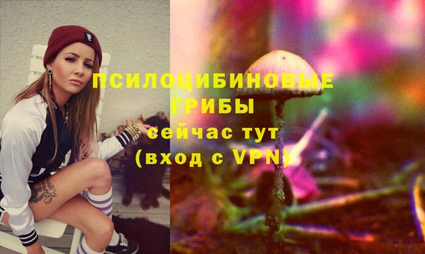 альфа пвп Верхнеуральск