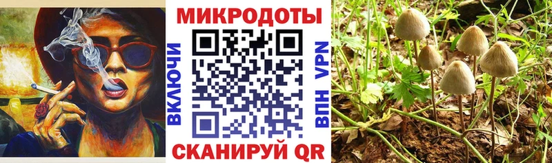 Купить закладки  Голицыно  Псилоцибиновые грибы Psilocybine cubensis 
