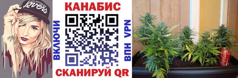 Купить закладки  Голицыно  Бошки марихуана конопля 